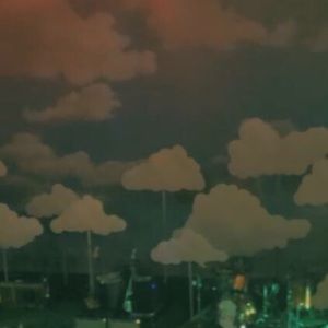 Meet your Posher, Lyla